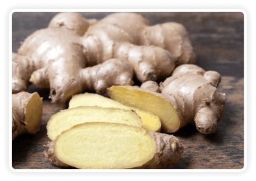 Himalayan Mountain Ginger CitrusBurn ingredient