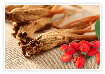 Berberine Korean Red Ginseng CitrusBurn ingredient